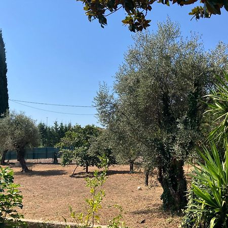 Villa Thyziri Roquefort Les Pins Dış mekan fotoğraf