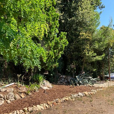 Villa Thyziri Roquefort Les Pins Dış mekan fotoğraf