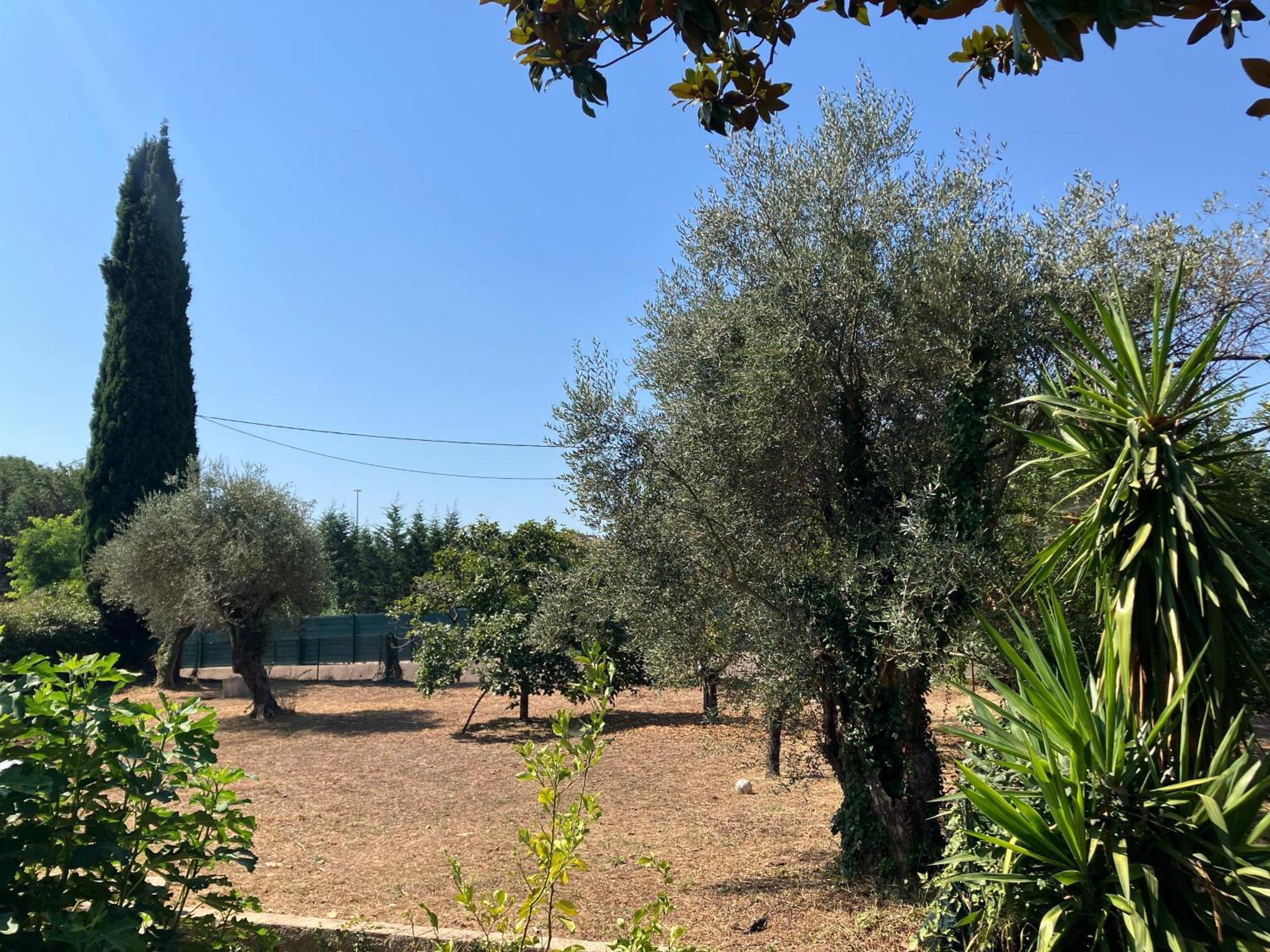 Villa Thyziri Roquefort Les Pins Dış mekan fotoğraf